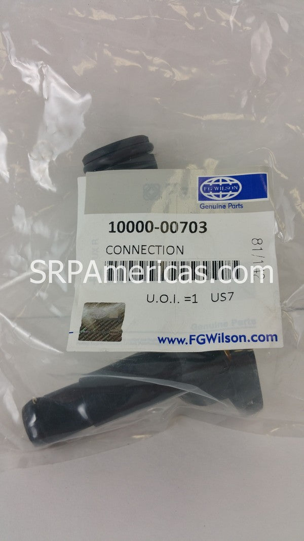 10000-00703 Thermostat Connection