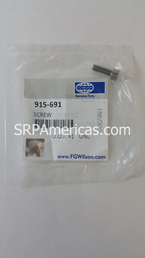 915-691 Electronic Governor Screw