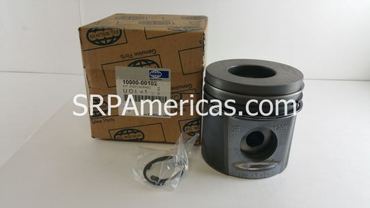 10000-00102 Piston & Ring Kit