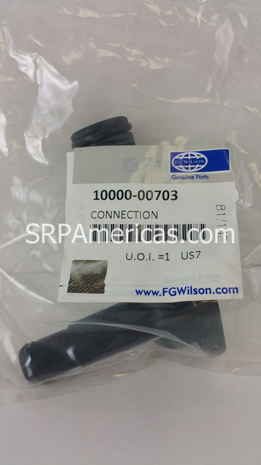 10000-00703 Thermostat Connection