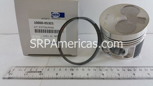 10000-05321 / 10000-82406 Piston & Ring Kit FG Wilson