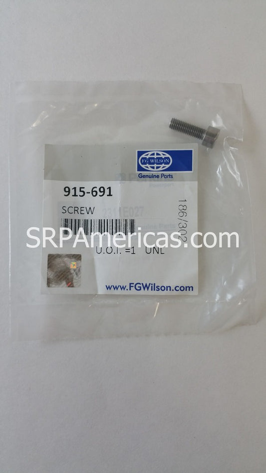 915-691 Electronic Governor Screw