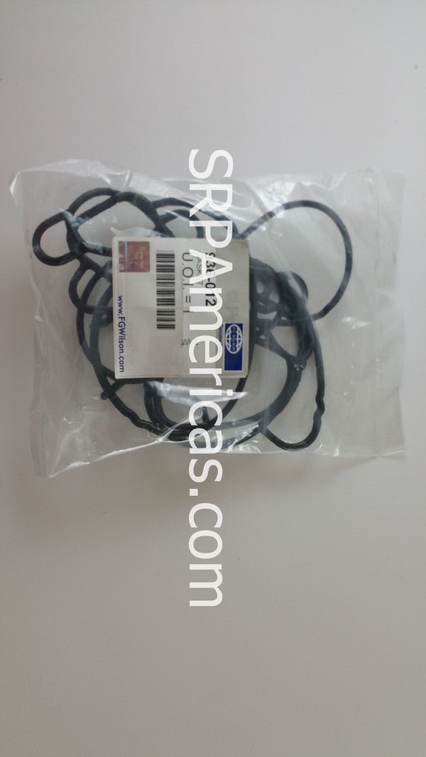 GASKET 036-012